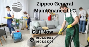 deep cleaning