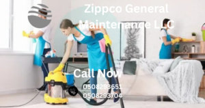 deep cleaning